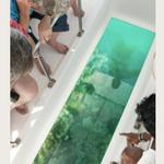 Glass Bottom Boat Trip