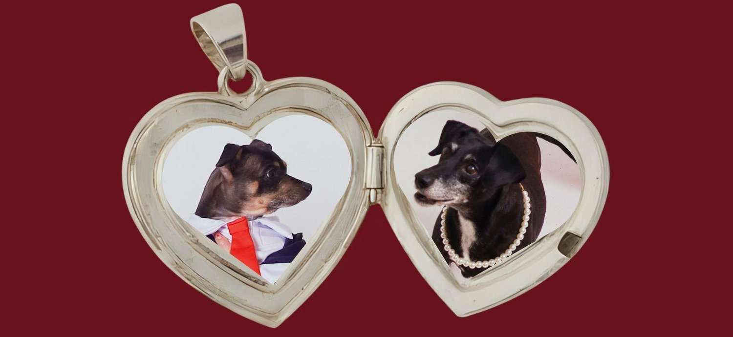 The Wedding Website of Lauren Calmet and DJ Funkhouser
