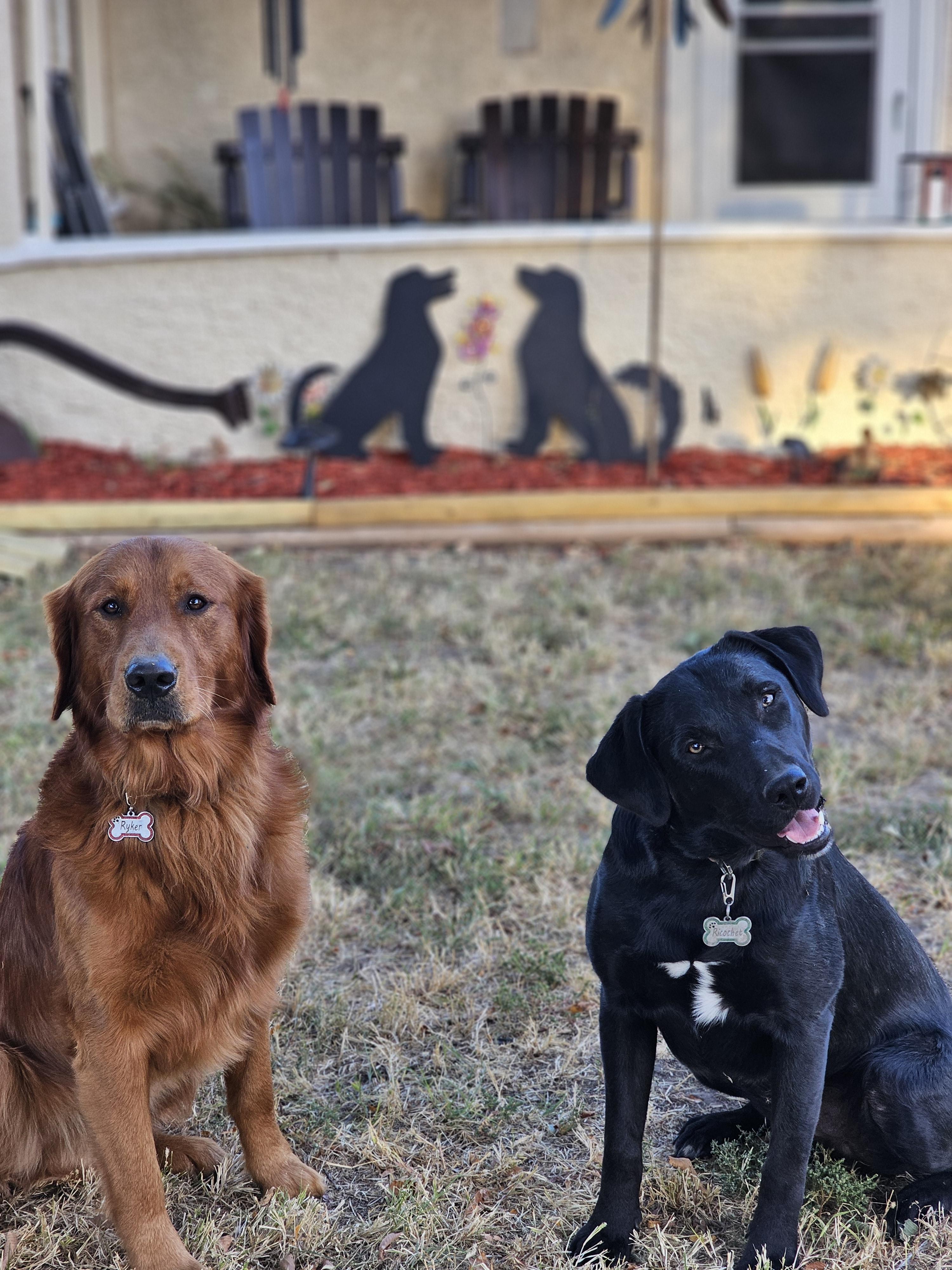 The Wedding Website of Kristen Veliz and Taylor Davis