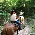 Rockin R Ranch