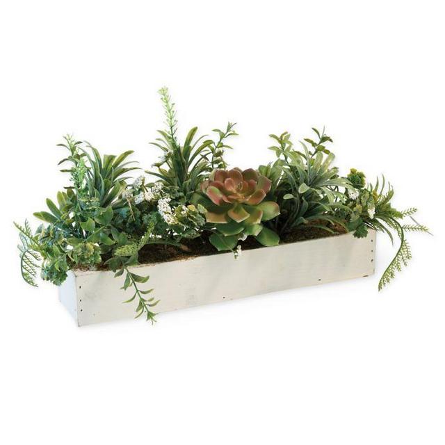 Boston International Succulent Tablescape