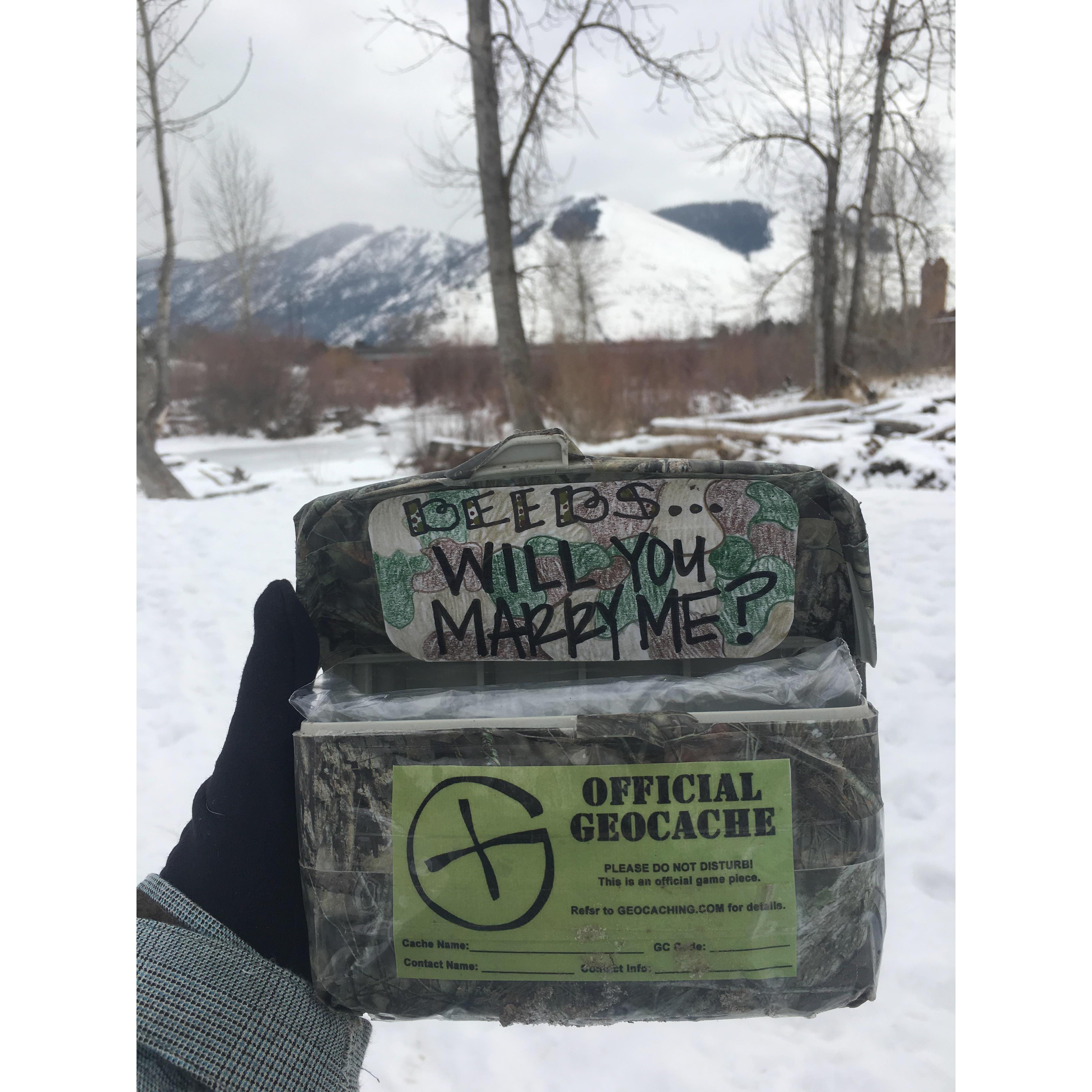 Audrey's Proposal