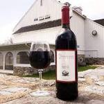 SpringGate Vineyard