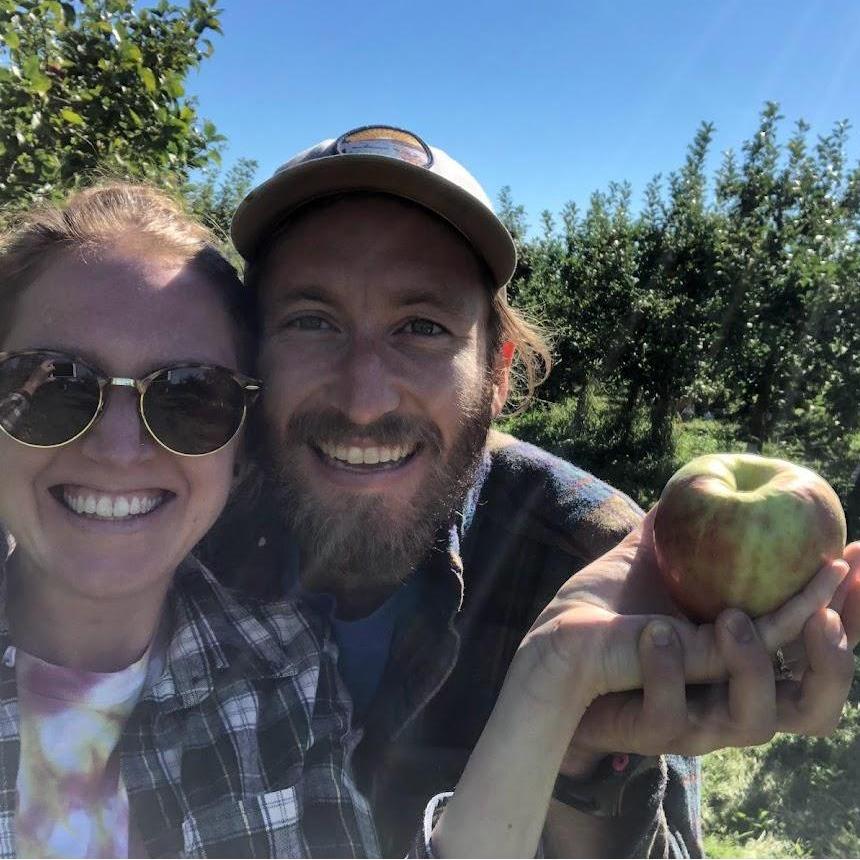 Apple harvest at Shelburne Orchards