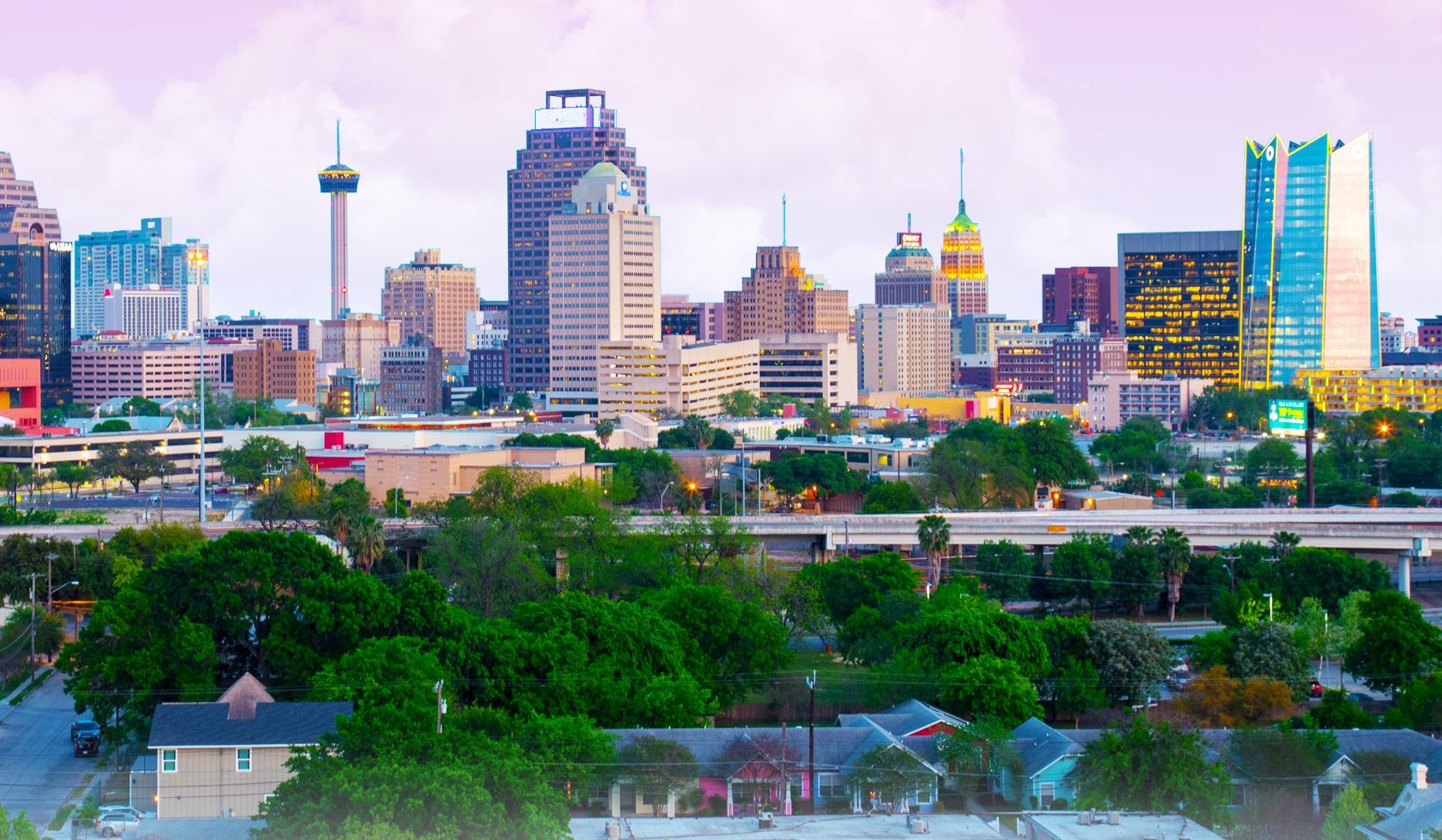 The Wedding Website of Elizabeth Alvarado and Reaz Alli