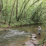 Fly Fishing on the Saluda River
