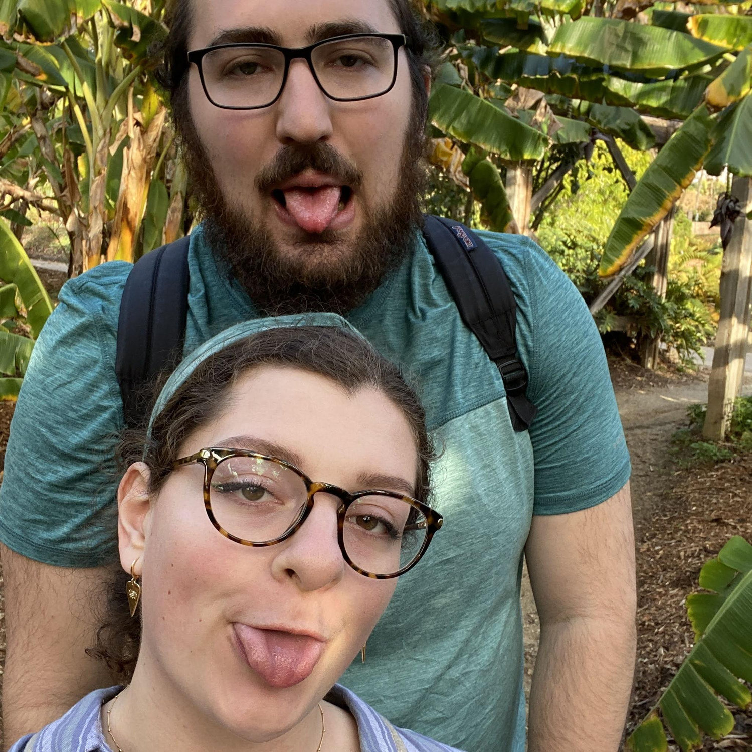 Ever seen a banana tree before?