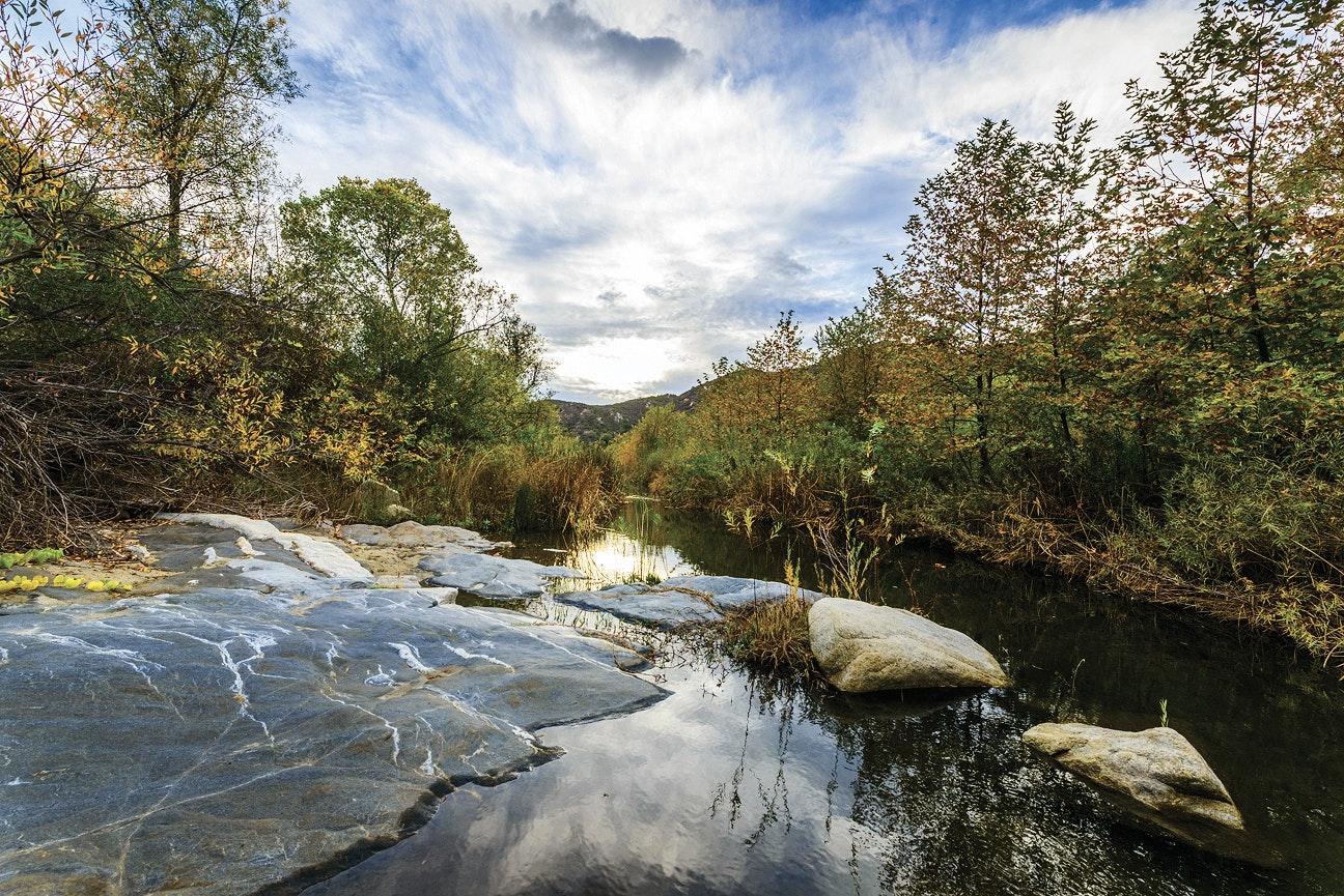 The Wedding Website of Jeneen Idriss and Jeff Zimmerman