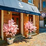 The Lucky Knot
