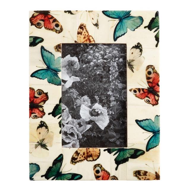 Butterfly Bone Frame