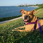 Edgewater Park