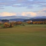 Balgove Course