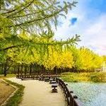 Nami Island