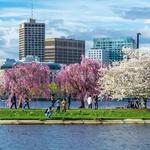 Charles River Esplanade