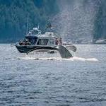 Seward Ocean Excursions