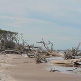 Big Talbot Island State Park