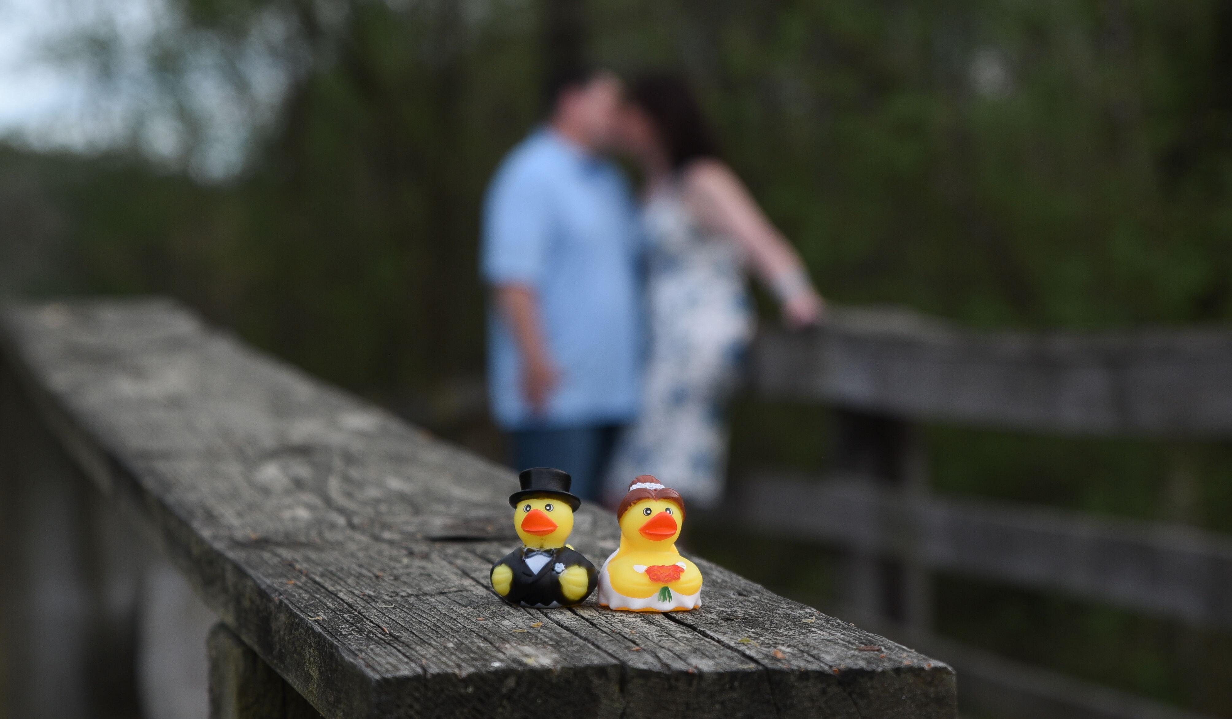 Hero Slideshow Image 2