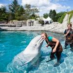 Mystic Aquarium