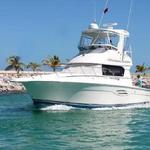 Deep Sea Fishing