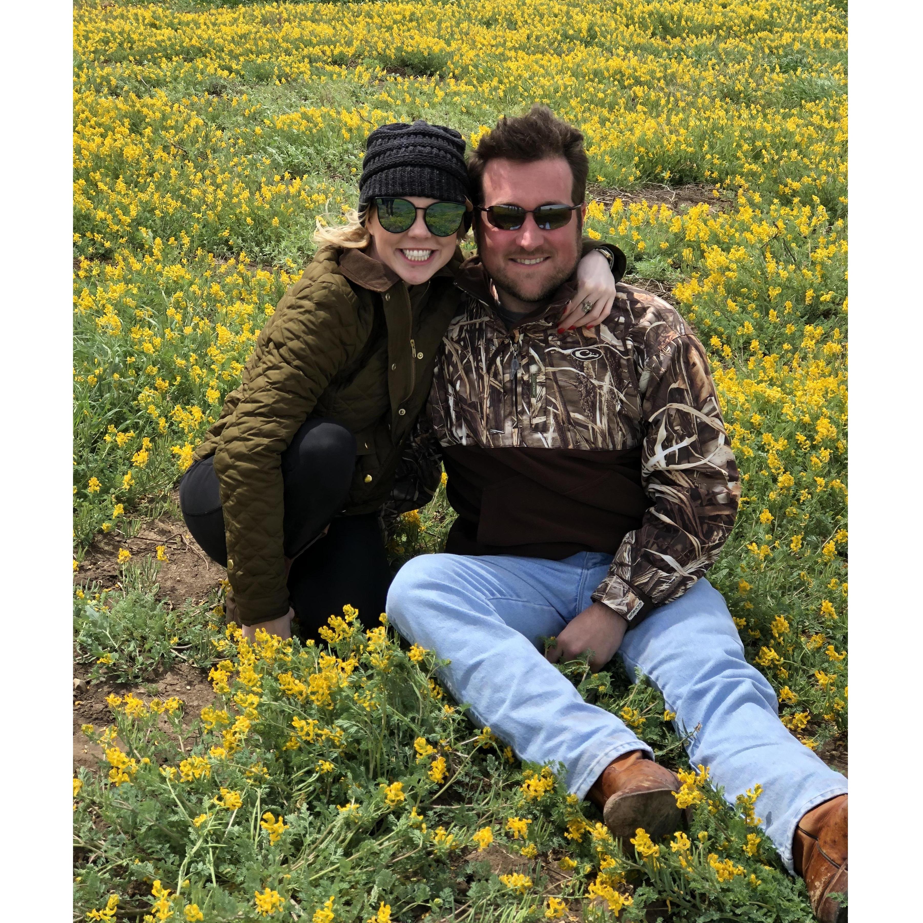 Weekend at the ranch