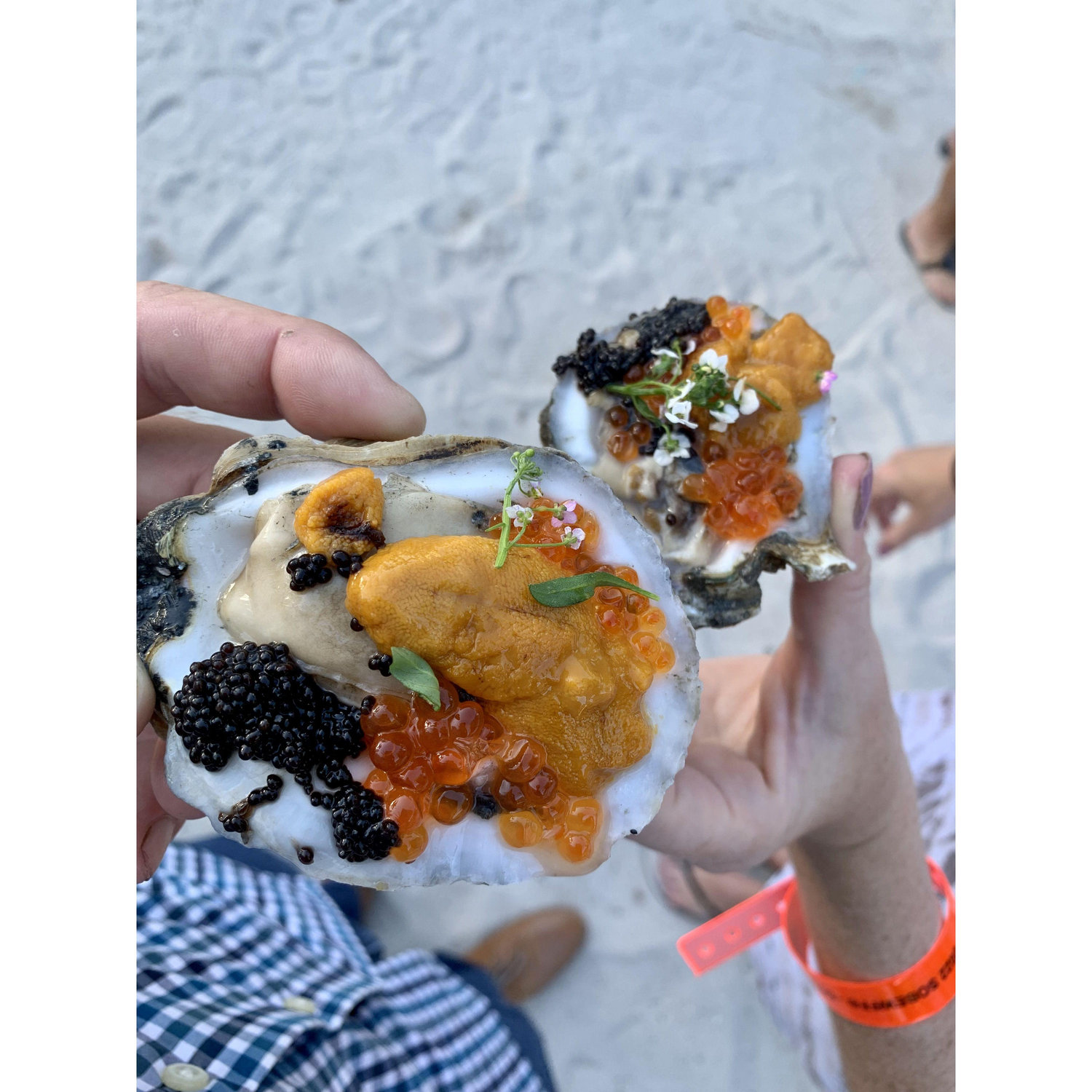 Oyster festival