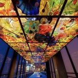 Museum of Glass