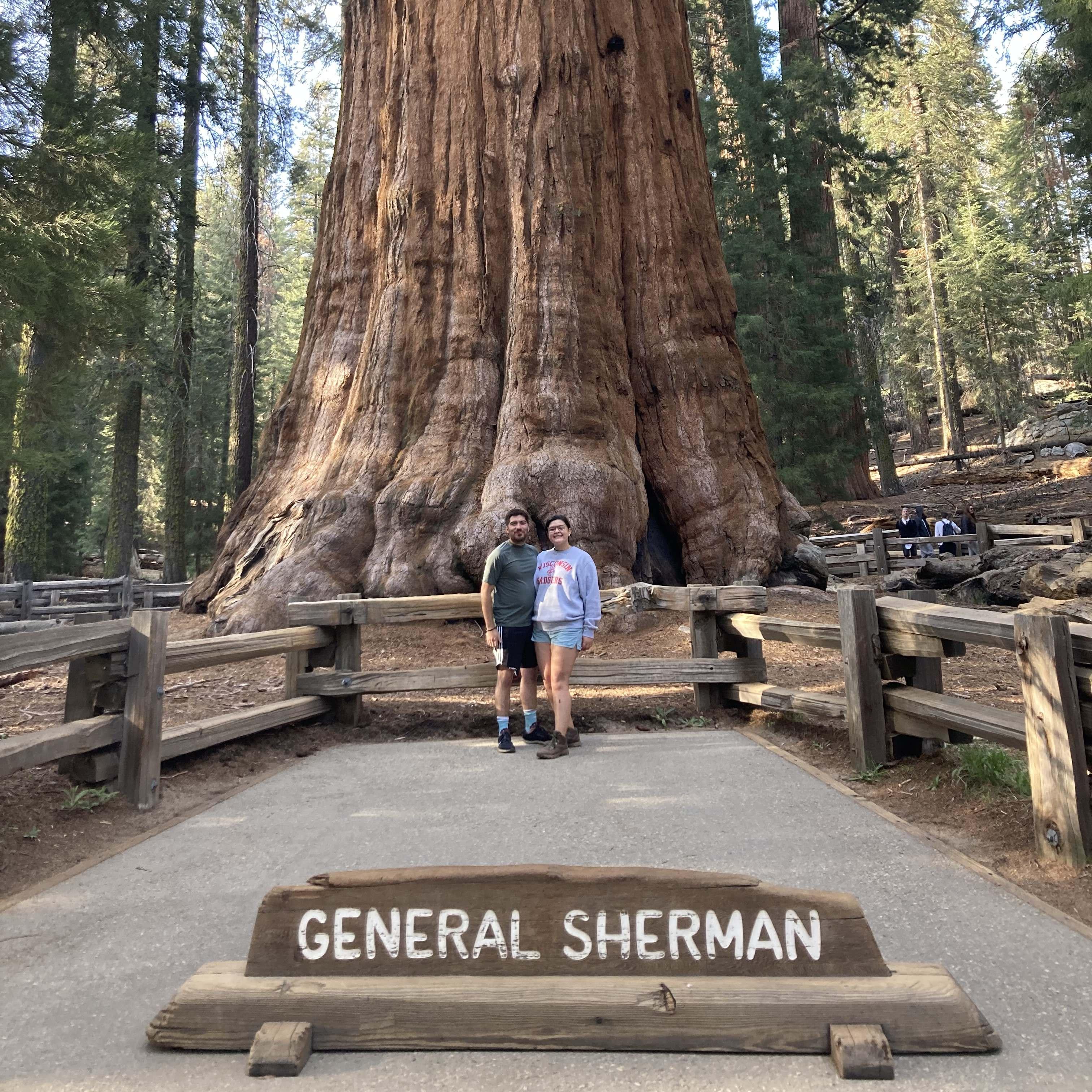 Our trip to Sequoia National Park to see the biggest tree in the world! May2022