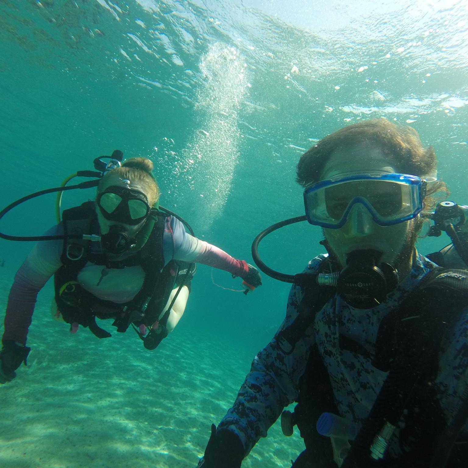 Erin Wirtz and Todd Williams' Wedding Website, image size:1536x1536