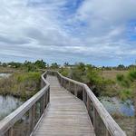 Topsail State Park