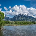 Fly fish in the Yellowstone River