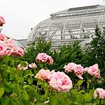 The Botanic Garden of Smith College