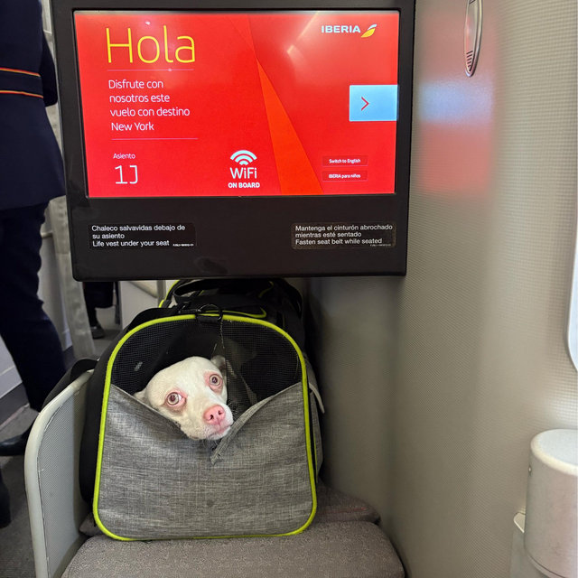 Lola’s plane ticket - Minimoon