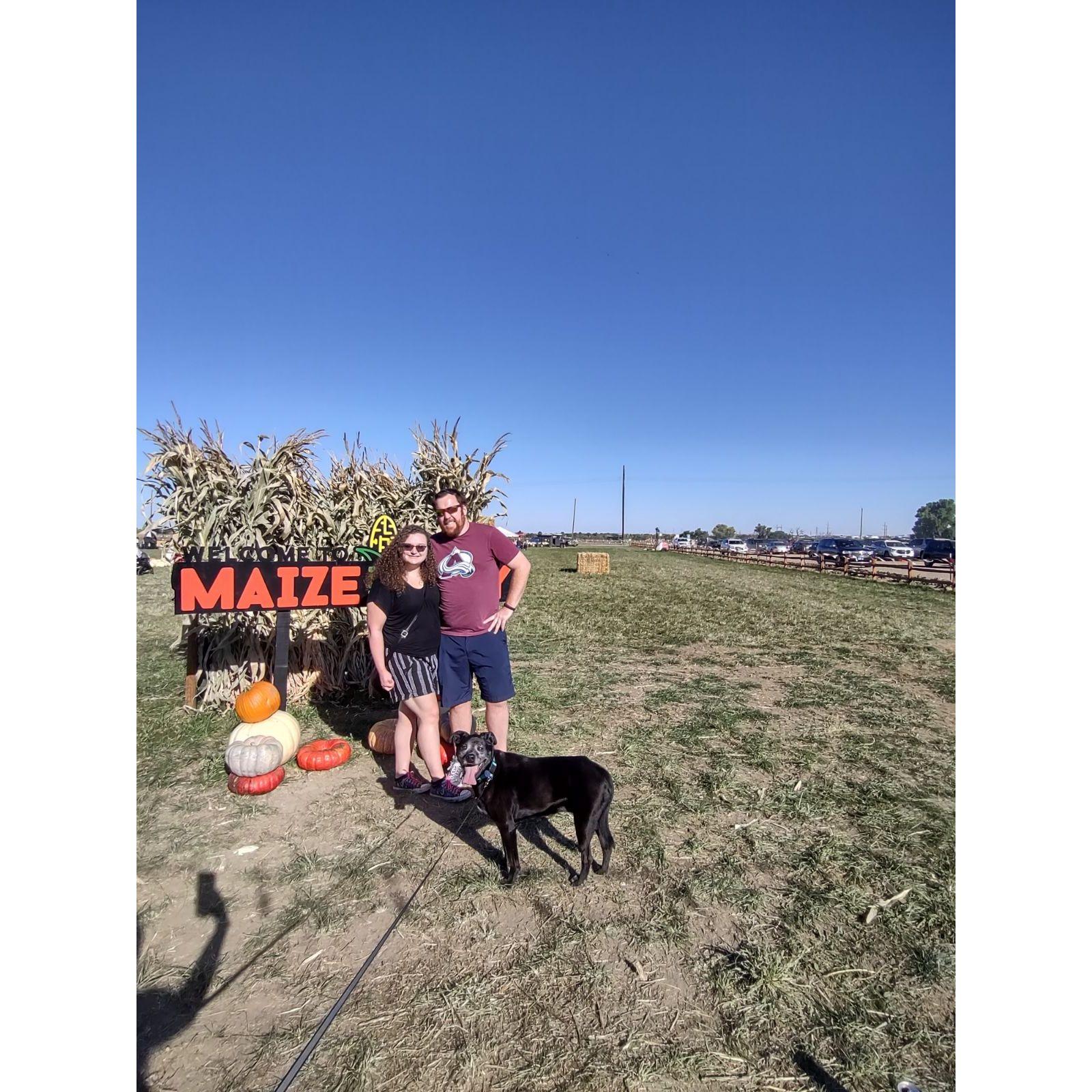 Our first pumpkin patch together!