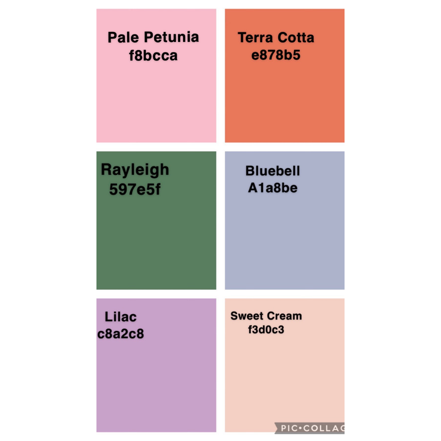 This is our wedding color palette if anyone would like to use it as reference for the dress code.