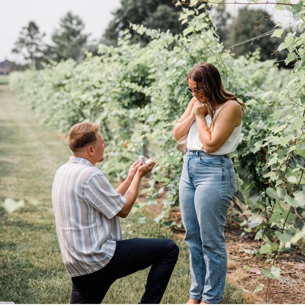 Morgan Fick and Alex Van Schyndel's Wedding Website, image size:1000x1000