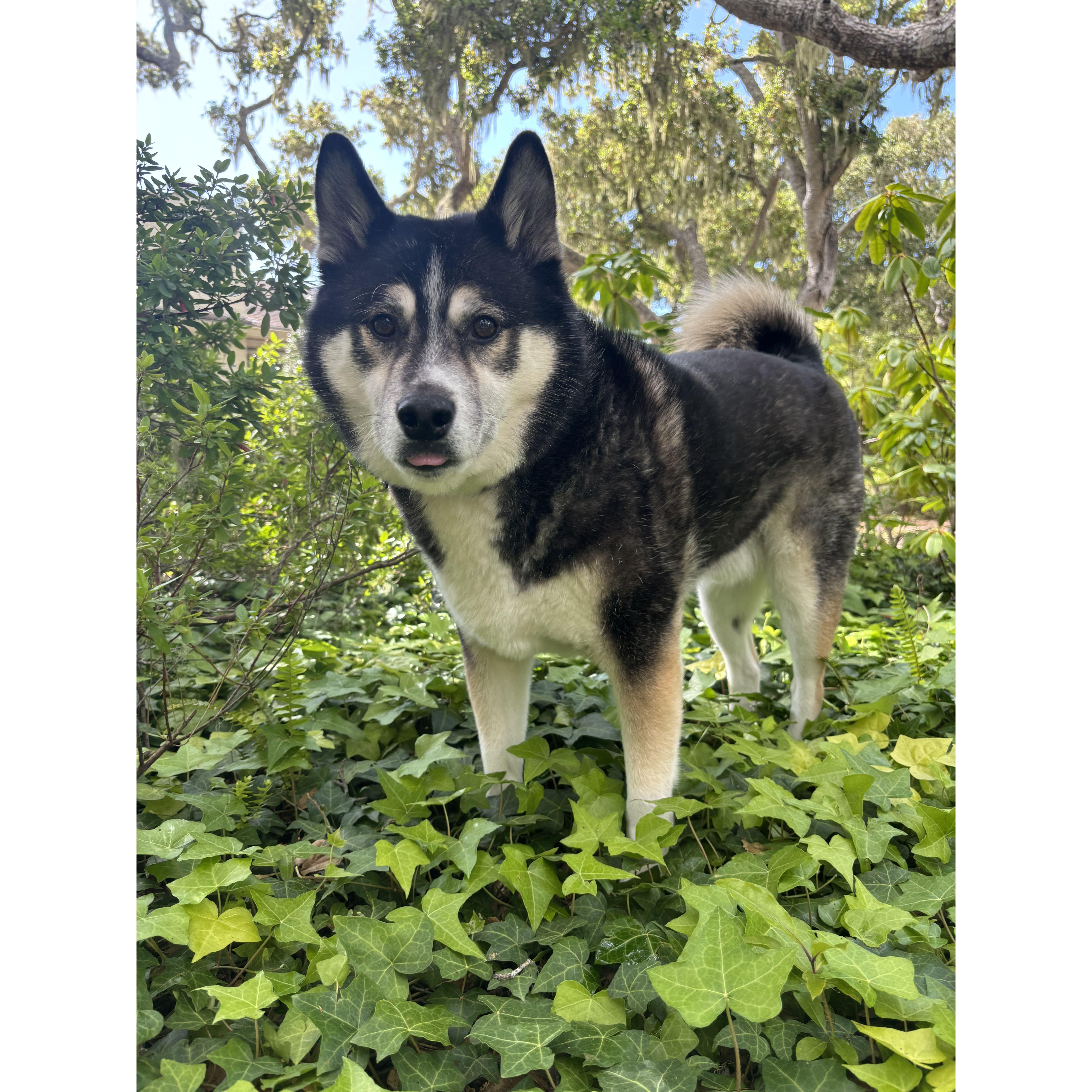 Our boy, ASAP.