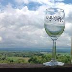 Baraboo Bluff Winery