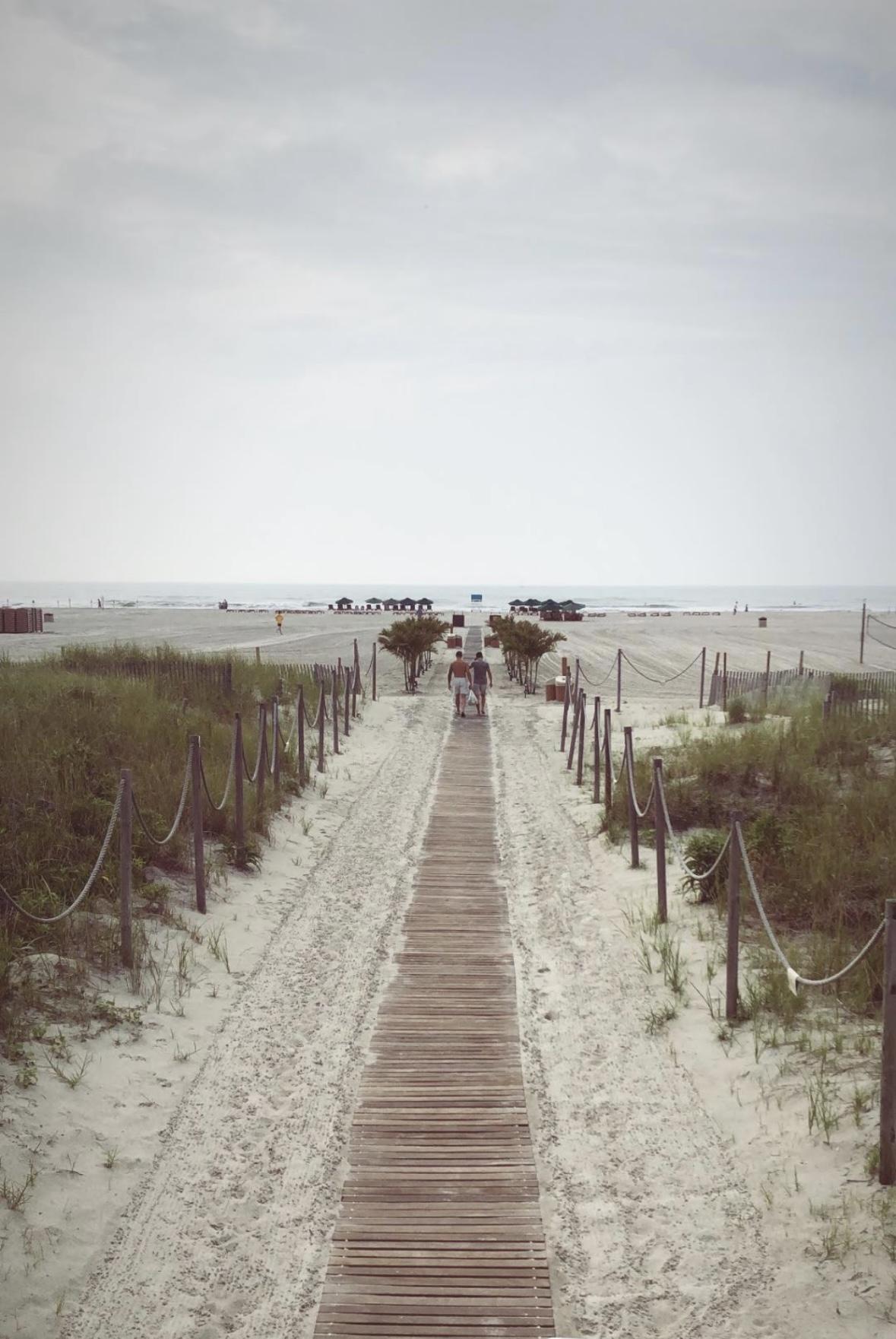 The Wedding Website of Molly Demgard and Dan Makarevich