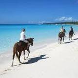Macao beach horseback riding tour