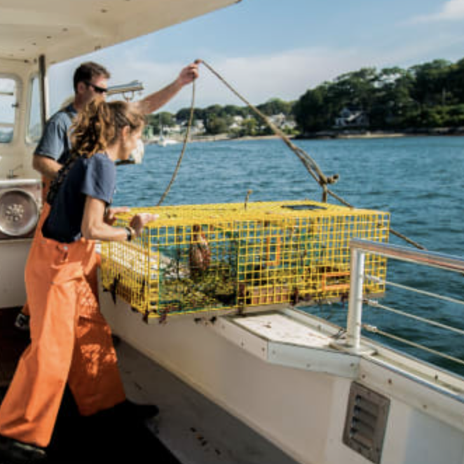 Lucky Catch Cruises!  Jump on board for some lobstering with your small group. Each of the small company's three vessel takes no more than 20 for comfort. Need reservations.