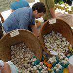 Hudson Valley Garlic Festival