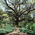 Washington Oaks Gardens State Park