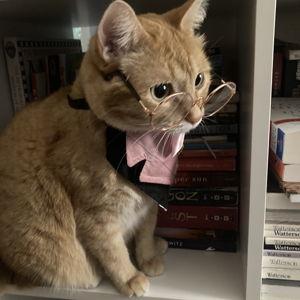 House/Pet FUNd
