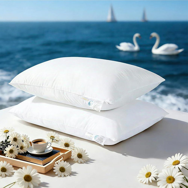 LIANLAM Goose Feather Down Pillows Queen Size Set of 2, 3-Chamber 5 Star Hotel Pillow for Deep Sleep,Soft Bed Pillows for Neck Pain Relief, Perfect for Side Sleeper, 100% Cotton Shell(2 Pack,20"x30")