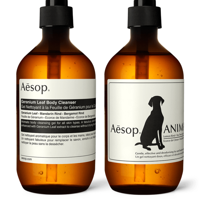 Aesop- You & Your Dog Duo