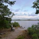 Cedar Point Tideland Trail