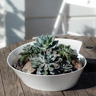 New Wave Round Salad Bowl