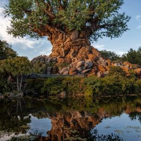 Disney Park Tickets