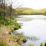 Seven Lakes Drive