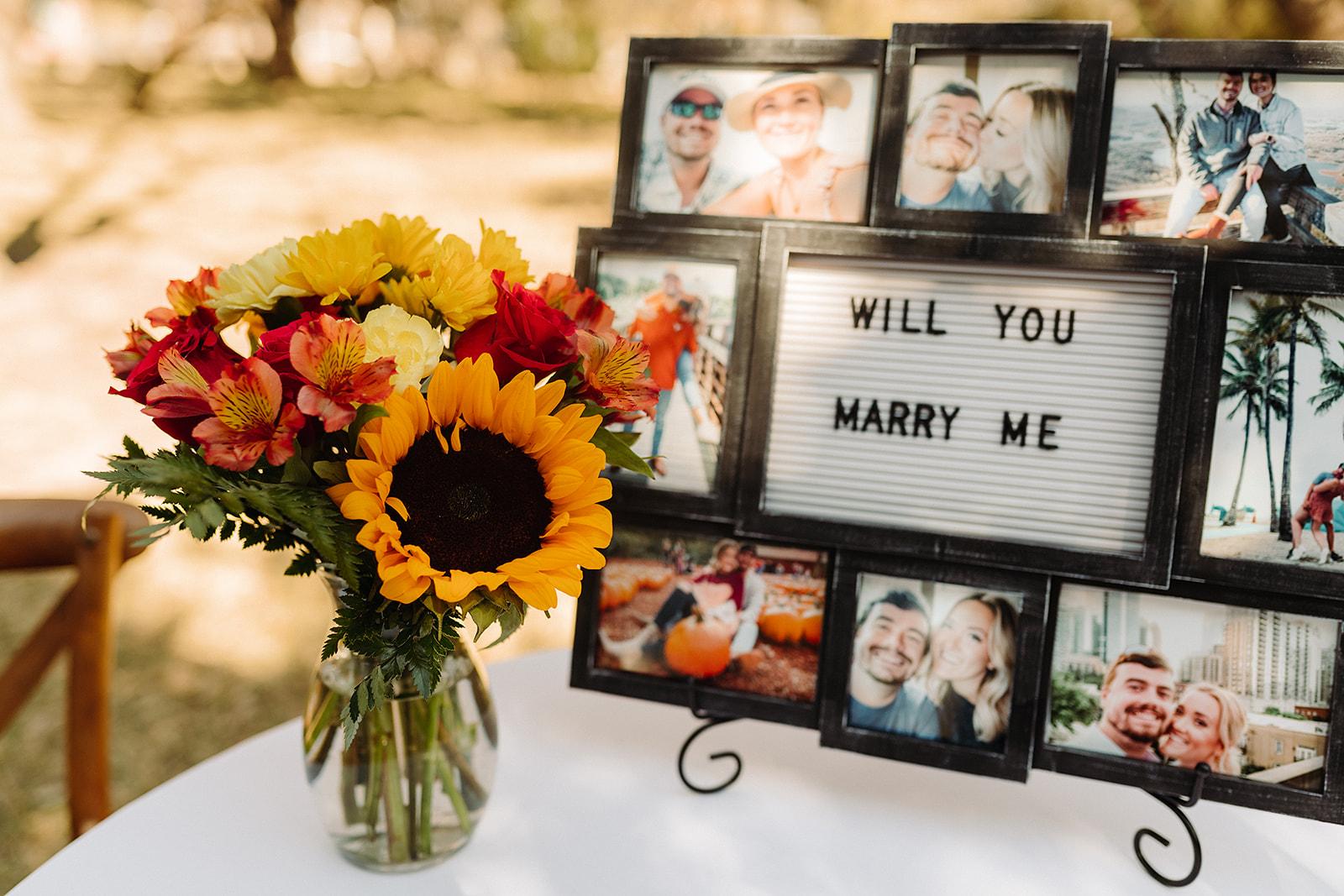 The Wedding Website of Hailey Urquhart and Adam Springstroh